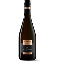 Prosecco vino frizzante DOC Treviso - Colli del Soligo 0,75